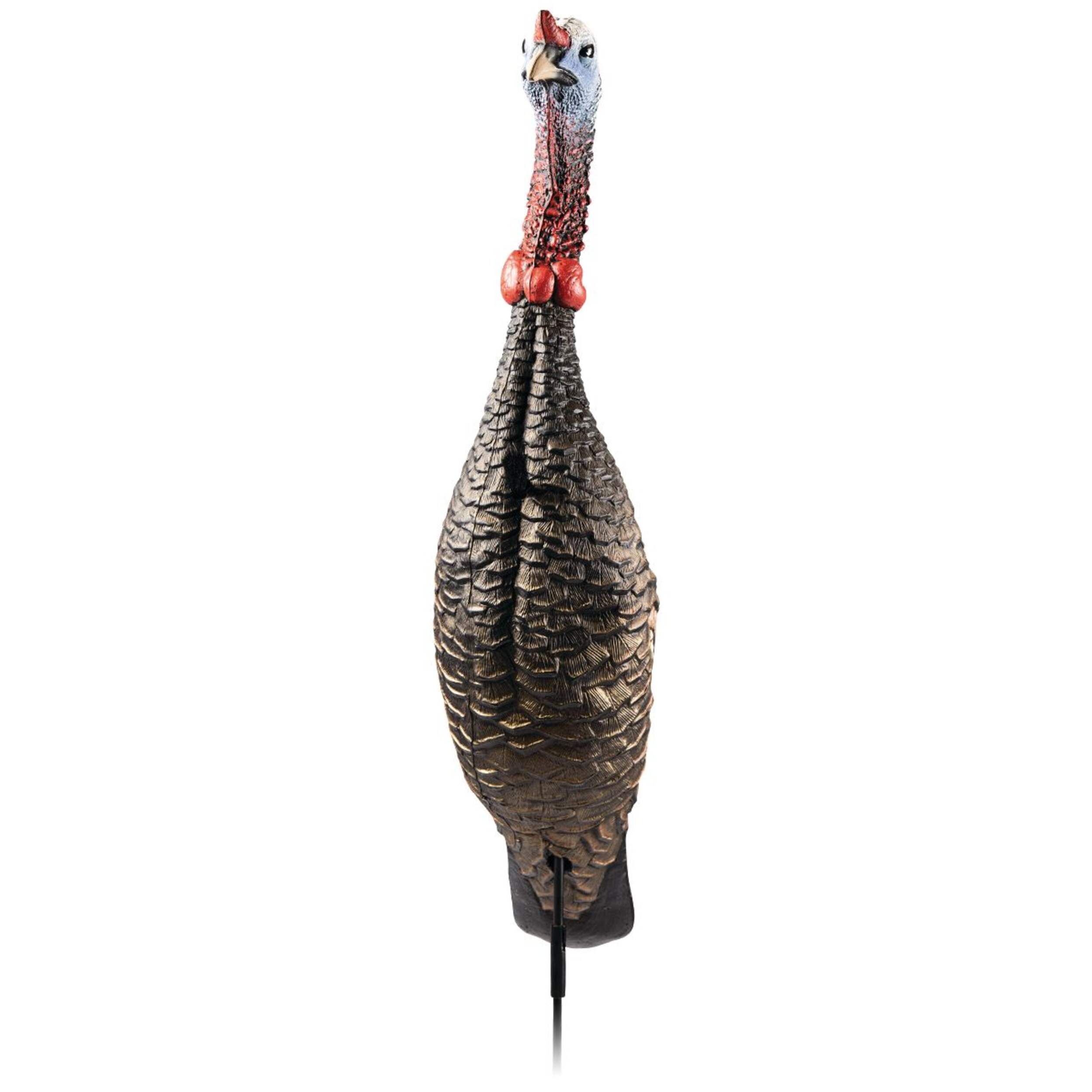 Appelant Flextone Funky Chicken – Image 2