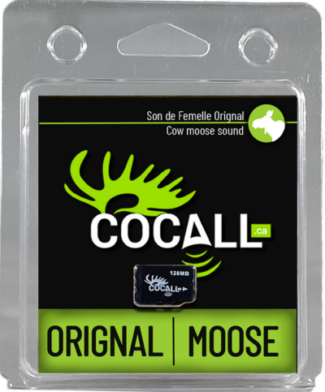 COCALL FEMELLE ORIGNAL