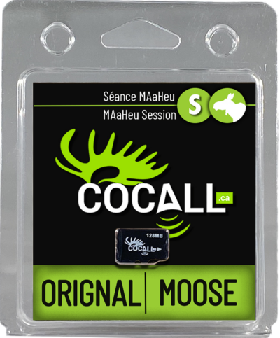 COCALL FEMELLE ORIGNAL 2.0