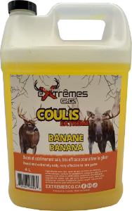 EXTREMES CG Coulis extrême banane 4L