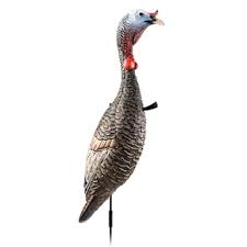 Appelant Flextone Funky Chicken – Image 3